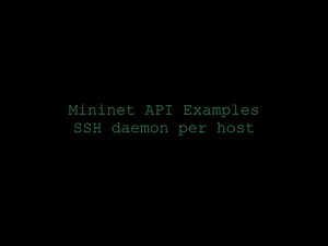 Mininet Python API : SSH Daemon Per Host