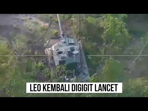 Si Leo Disikat Krasnopol