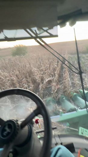 Harvesting Mishaps: When You're Your Own Worst Enemy
