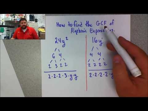 How to find the GCF of Algebraic Expressions Basics