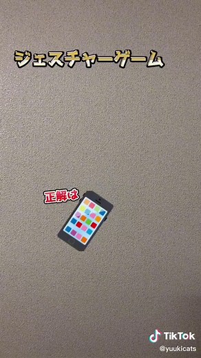 自作エフェクトで楽しむジェスチャーゲーム