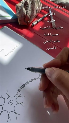 رسم الخلية العصبية النموذجية للصف الثالث المتوسط #اكسبلور #أحياء #ثالث_متوسط
