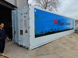[Hot Item] Vertical Growing Farming Container Plant Factory 40FT Shipping Container