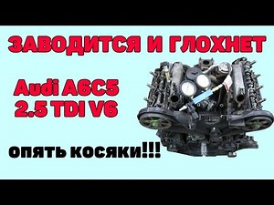 Заводится и глохнет. Опять косяки. Audi A6C5 2.5 TDI V6. Мотор в мусор.