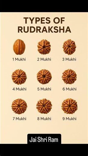Types of Rudraksha and Their Significance (1 Mukhi to 9 Mukhi)