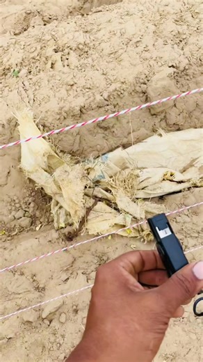 Innovative Solar-Powered Electric Fencing Solutions