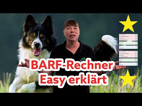 Hund RICHTIG füttern I So funktioniert ein BARF-Rechner I Ernährungsplan für Hunde