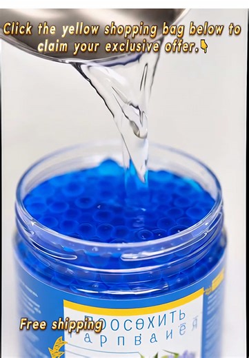 Effective Cockroach Control Solutions for Your Home