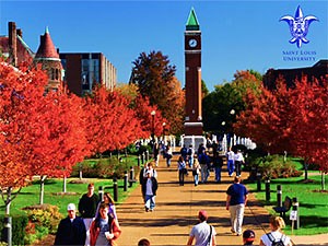 St. Louis University offers chess scholarships