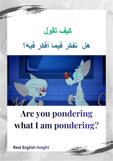 “Are you pondering what I’m pondering?” 🧠English phrase. #learnenglish