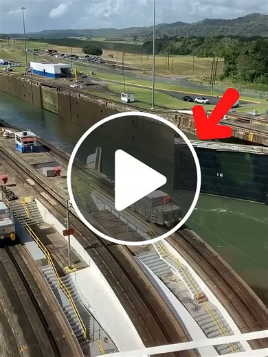 Why mules used in Panama Canal #shorts - NewsBreak