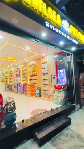 Exploring Chelsea Pet Shop: A Haven for Pets