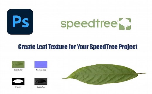 (基础入门)SpeedTree 8.42如何制作叶子流程！