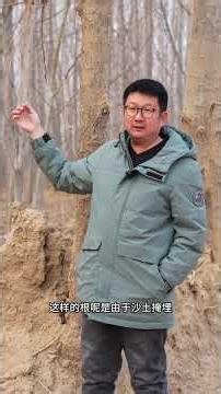 Aerial roots and adventitious roots#Aerial root#Indefinite root#The root#Knowledge Frontie