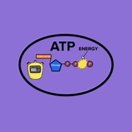Aerobic vs Anaerobic Difference ( Video ) | Biology