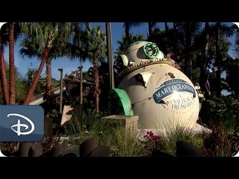 Miss Adventure Falls | Disney’s Typhoon Lagoon Water Park