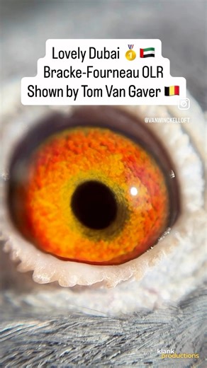 12K views · 392 reactions | We are very proud to have acquired...