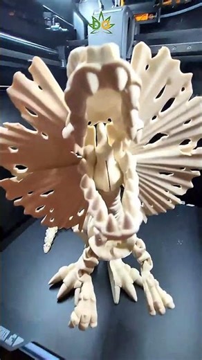 XL Skeleton Dilophosaurus
