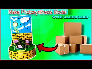 How to make Photosynthesis model for Science Project with cardboard, 3D Photosynthesis Working model