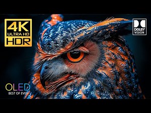 REAL 4K HDR 120 FPS Dolby Vision (4K Video)