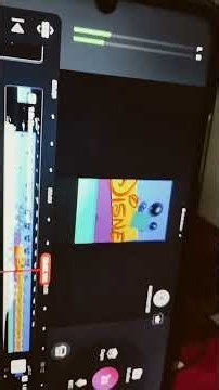 raro opening y cierre de los aristogatos Disney plus vhs pirata