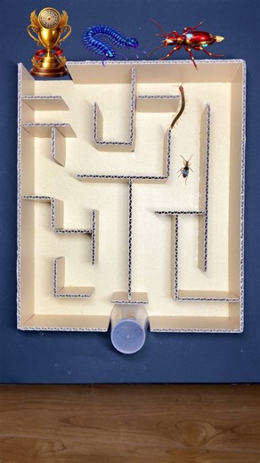 Fast Doesn’t Always Mean Win | Maze Challenge