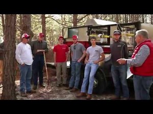 Revolutionizing Pine Straw with The Pine Bine