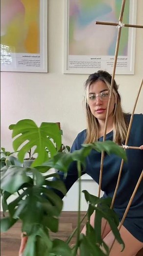 DIY Bamboo Trellis for your Monstera 🌿