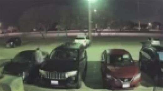 Cars on city's Southside targeted in auto-theft cases, police say