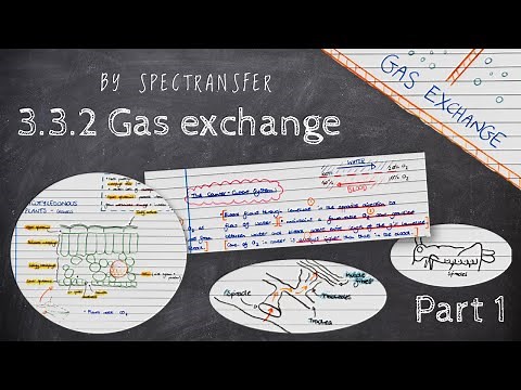EASY REVISION AQA A-Level Biology 3.3.2 Gas Exchange - Part 1/2