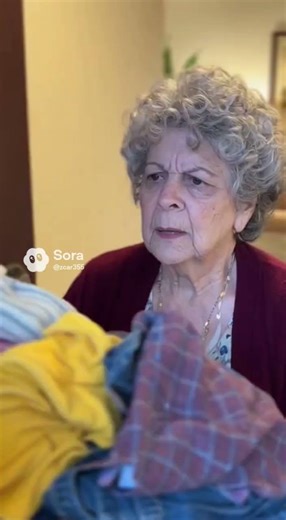 AI Parody Sarasota Tim Laundry Day was a piece cake!