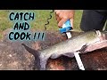 How We Cleaned and Cooked Catfish Caught Near a Dam