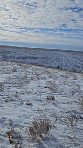 6.6K views · 131 reactions | Love | Travis Chilson | Facebook