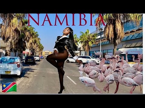 Walvis Bay- Namibia’s Uniquest City #flamingoes #sandwichharbor #Africancities 🇳🇦