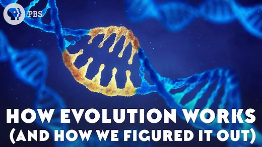 88K views · 1.7K reactions | As a scientific concept, evolution was revolutionary when it was first introduced. With the help of all three of our hosts and the Smithsonian's National Museum of Natural History new #DeepTime Hall, we’ll try to explain how evolution actually works and how we came to understand it. | Eons • PBS | Facebook