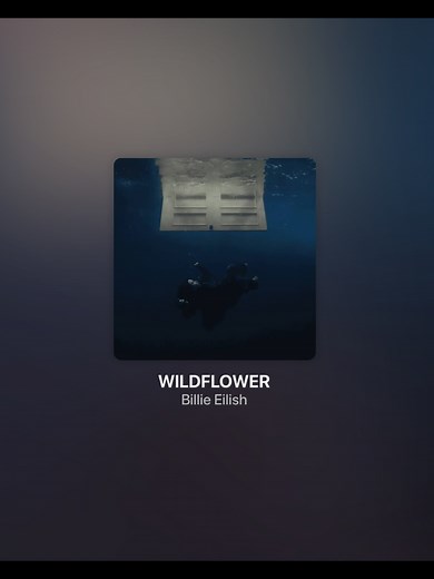 Billie Eilish - Wildflower Lyrics Video