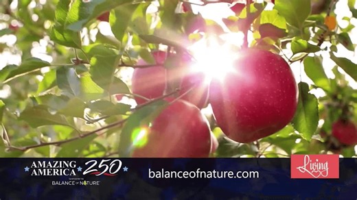 Balance of Nature: Whole Food Nutrition Made Simple