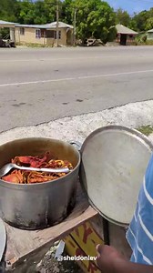 3.4K views · 52 reactions | Meet Deon and his crab business in Salt Marsh, Trelawny, Jamaica  | sheldonlev | Facebook