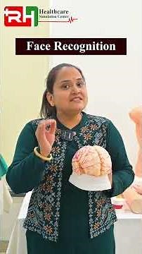 🧠 TEMPORAL LOBES — Hearing, Memory & Emotions!