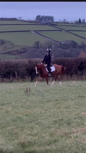 Candy schooling really well last night her flatwork has come on sm already🙌 Aintree 🔜 #fyp #eq #viral #christmascandy