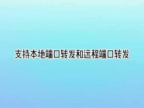 实用工具推荐：SSH隧道端口转发