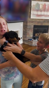 4.4M views · 4.2K reactions | Our hearts have officially MELTED!!! ✨ | The Pet Collective | Facebook