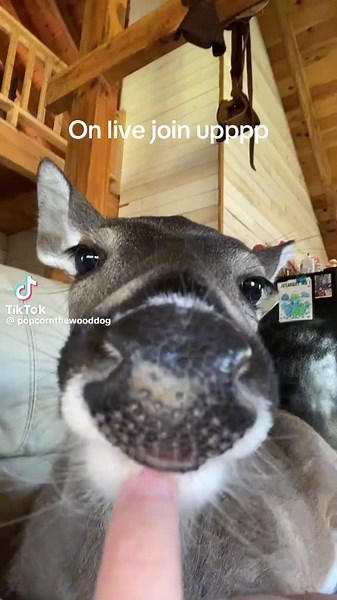 Clayytech💫 (@clayytech_)’s videos with original sound - Clayytech💫