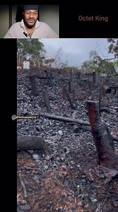 708K views · 7.2K reactions | Farm machinery: best machine for weeding farm. #farmlife #farming #technology #machine #foryouシ | Octet King | Facebook