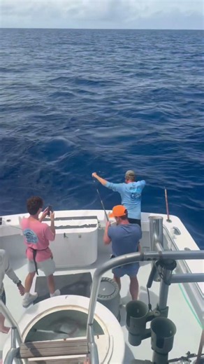 Amberjack Catch in Destin #destinfishing #2026#amberjackfishing