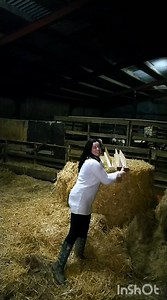 4.5K views · 282 reactions | Peg looms made to order! From 2.5ft long to 6ft long Weave your own rugs! Thank you for your orders  it really helps me to feed animals! Prices are: 2.5ft long £50, 3ft long £55, 4ft long £65, 5ft long £70 Message me your order #weaving #pegloom #wool #animals #livestock #sheep #farm #farming | Welsh cottage by Zina | Facebook