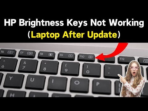 Screen Brightness Keys Not Working On My Laptop After Update | HP Laptop Brightness Keys Not Working