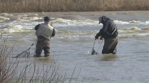 First day of spring sees river full of anglers for Walleye Run