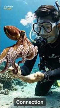 The Octopus Brain : The Most Alien Intelligence on Earth