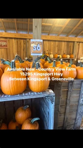 Country View Farm on Reels